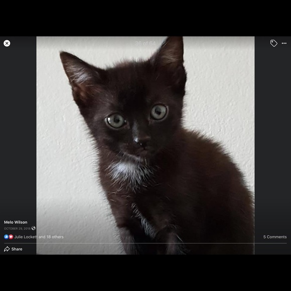 ❤️🐾Please Remember to be kind  ! 🐾❤️ - Picture 3 of 8